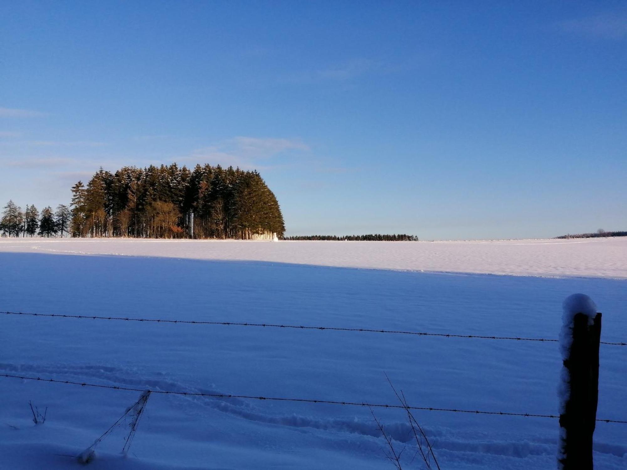 Sophisticated Holiday Home In Lierneux Near Forest Exteriör bild